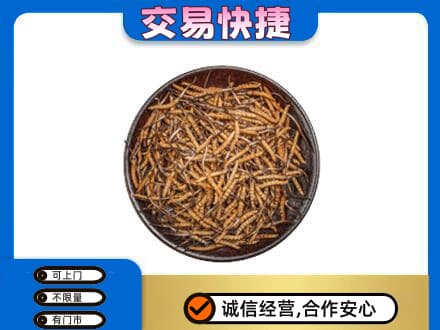 景洪市高价回收散虫草